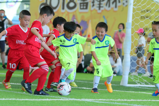 熊猫体育官网2018“雷锋杯”全国幼儿足球交流大会举办(图3)