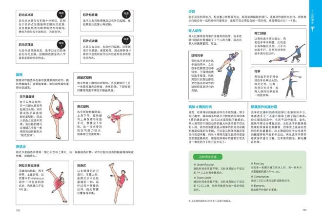 冬奥会进行中送给体育小白的速通指南熊猫体育官网(图3)