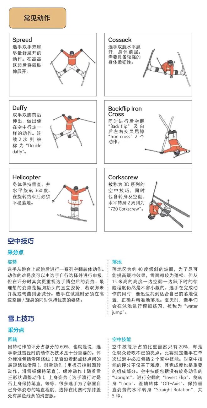 冬奥会进行中送给体育小白的速通指南熊猫体育官网(图7)