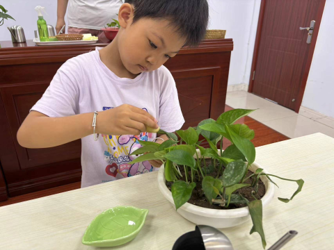 熊猫体育官网体育场街道盛世园社区:园园小课堂 为孩子们成长助力(图3) 熊猫体育官网体育场街道盛世园社区:园园小课堂 为孩子们成长助力(图3)