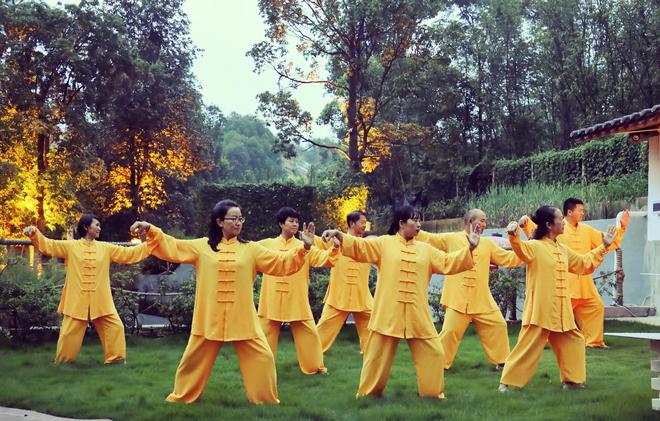 动静之熊猫体育官网间：飞熊农业太极研学之旅引领健康生活新风尚(图2)