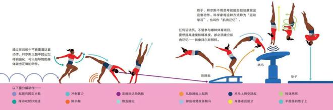 看奥运不过瘾？这些体育冷知识让你更懂奥运会！熊猫体育官网(图2)