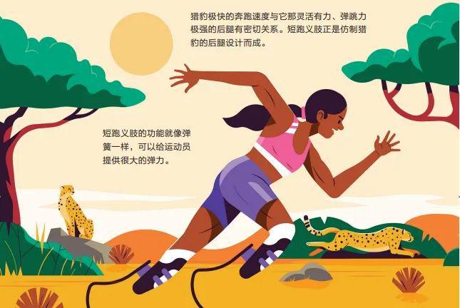 看奥运不过瘾？这些体育冷知识让你更懂奥运会！熊猫体育官网(图7)