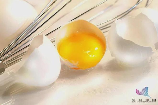 这些垃圾分类小知识你知道吗？熊猫体育平台(图5)