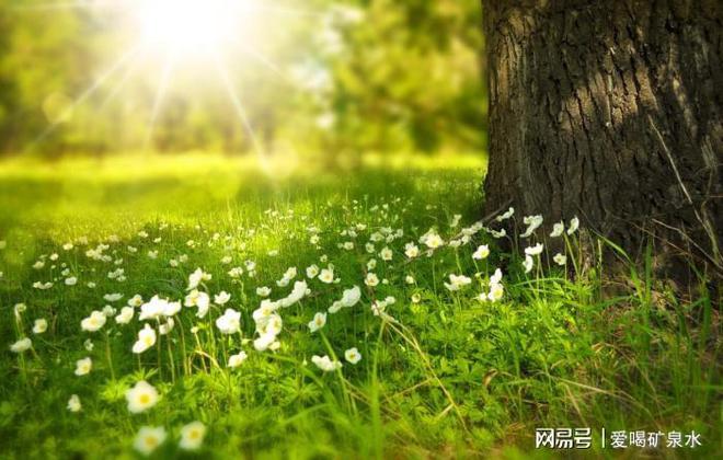 熊猫体育官网天气回暖体育健身小窍门(图1)