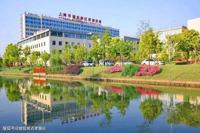 2024官方金桥·碧云熊猫体育平台澧悦楼盘简介-楼盘位置-销售中心-周边配套设施(图18) 2024官方金桥·碧云熊猫体育平台澧悦楼盘简介-楼盘位置-销售中心-周边配套设施(图18)