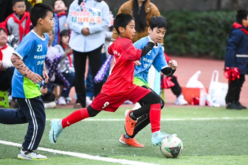 熊猫体育平台content=b(图3)